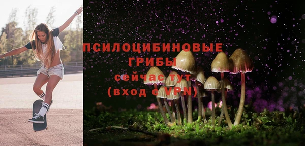 бошки Алзамай