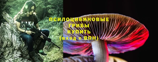 бошки Алзамай